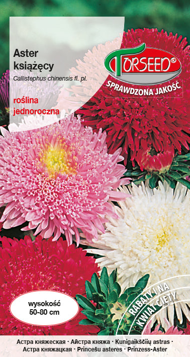 Aster książecy