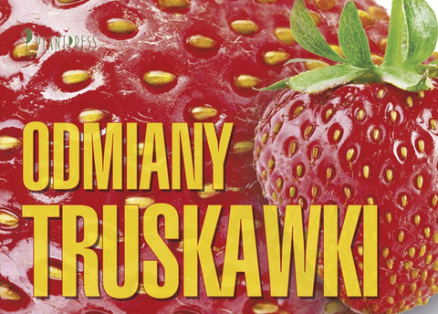 Odmiany Truskawki