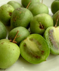 Kiwi (aktinidia) ISSAI - 1 doniczka