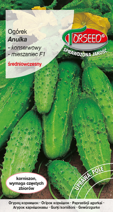Ogórek korniszonowy ANULKA