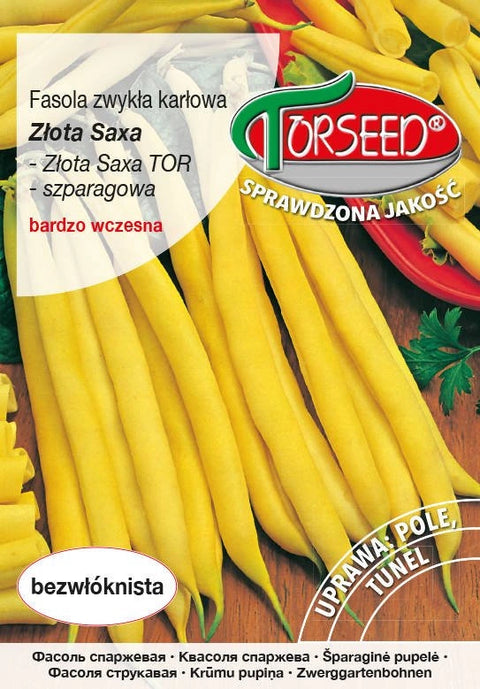 Fasola zwykła karłowa szparagowa, żółtostrąkowa, Złota Saxa