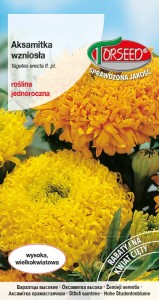 Aksamitka wysoka - mieszanka