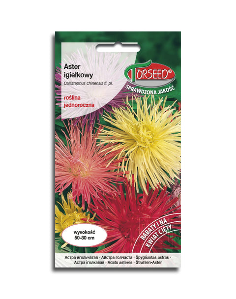 Aster chiński wysoki igiełkowy - mieszanka