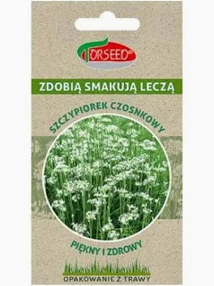 Szczypiorek czosnkowy