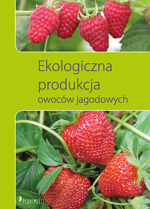 Ekologiczna produkcja owoców jagodowych