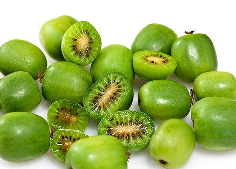 Kiwi (aktinidia) ISSAI - 1 doniczka