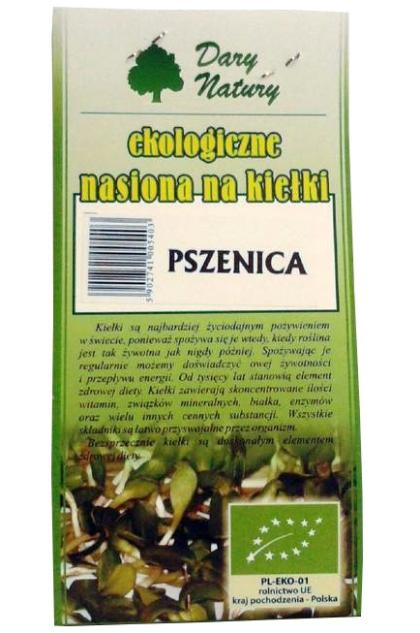 Pszenica na kiełki