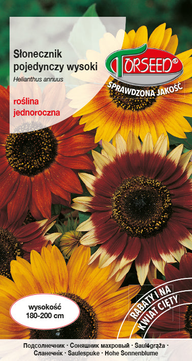 Słonecznik pojedyńczy wysoki
